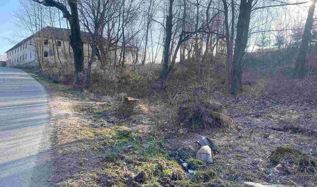 Prodej zahrady 2 062 m², Horní Stropnice – náhled fotky 3