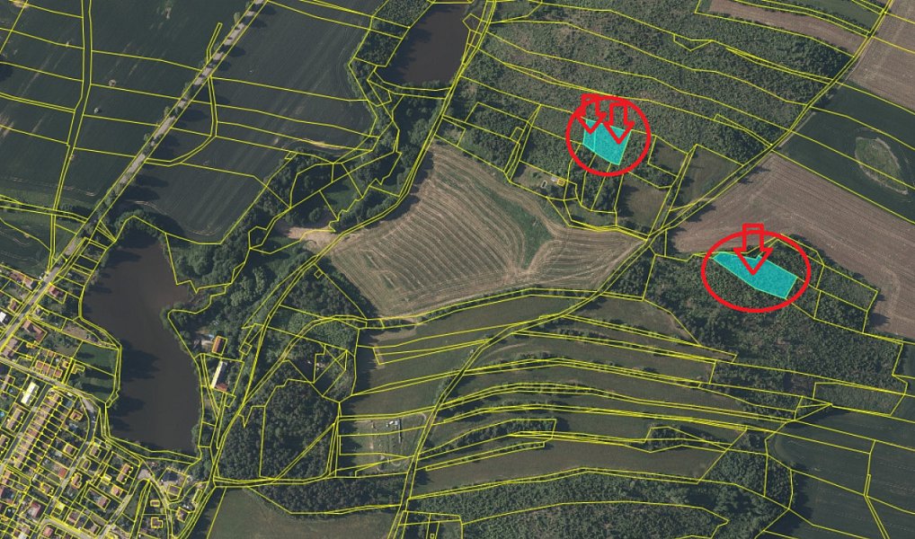 Prodej lesa 4 659 m², Studená – náhled fotky 2