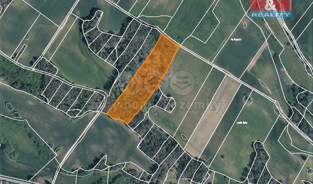 Prodej lesa 3 304 m², Trnava – náhled fotky 3