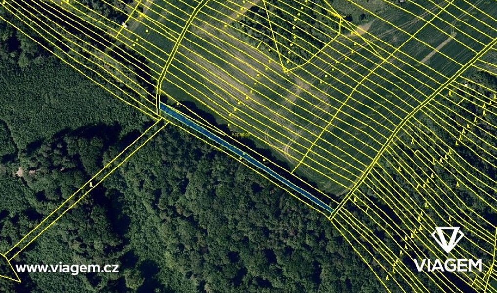 Prodej lesa 1 073 m², Snovídky – náhled fotky 3