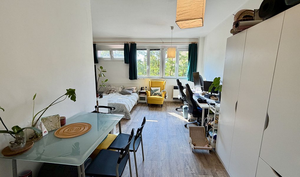 Pronájem bytu 1+1 36 m², Praha – náhled fotky 2