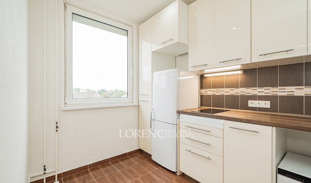 Pronájem bytu 2+1 41 m², Praha – náhled fotky 3