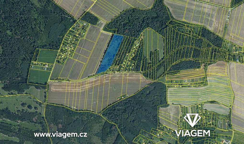 Prodej lesa 3 013 m², Prostějov – náhled fotky 2