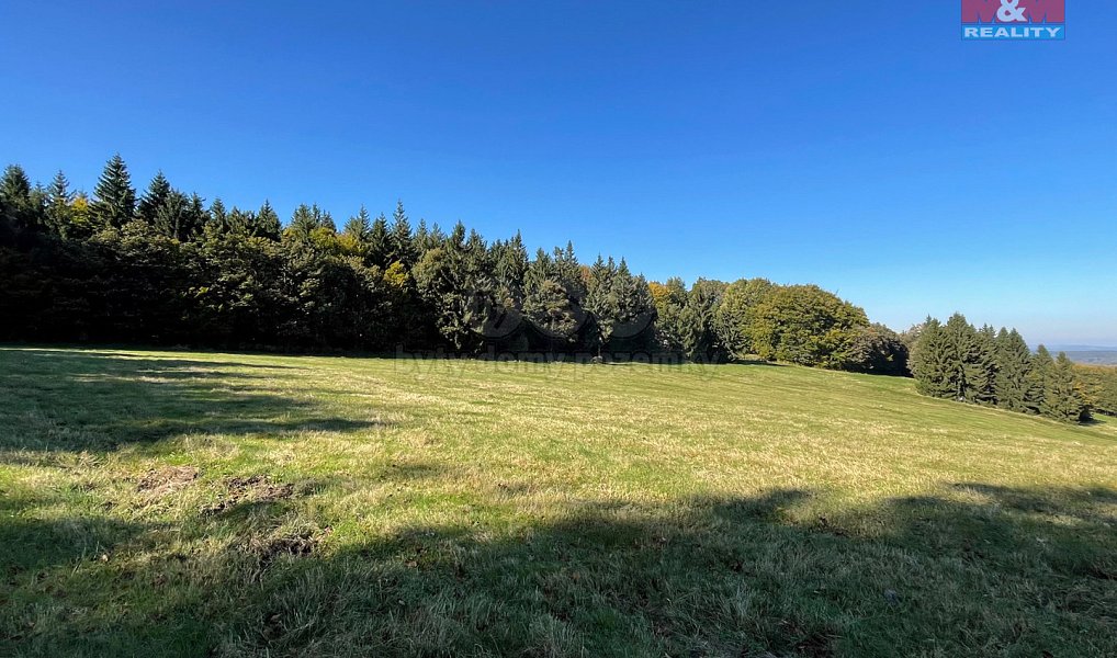 Prodej louky 15 674 m², Jiřetín pod Jedlovou – náhled fotky 8
