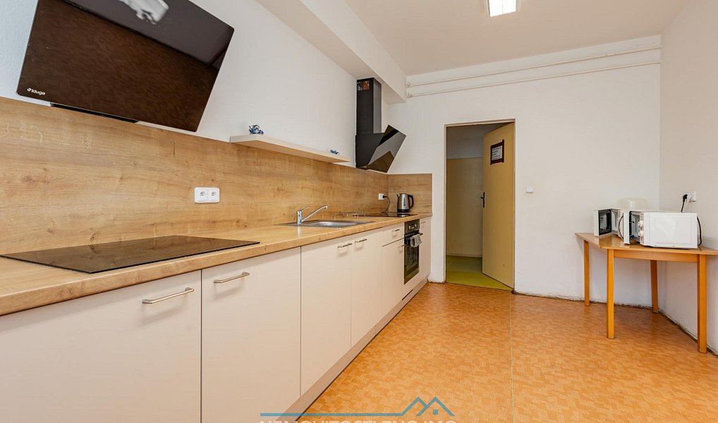 Pronájem bytu atypického 10 m², Hrušovany nad Jevišovkou – náhled fotky 8