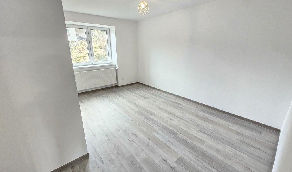 Prodej domu 272 m² s pozemkem 1 492 m², Ústí nad Labem – náhled fotky 17