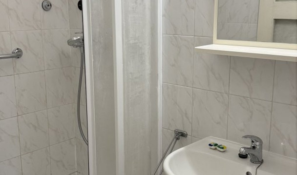 Prodej domu 60 m² s pozemkem 8 m², Brno – náhled fotky 5