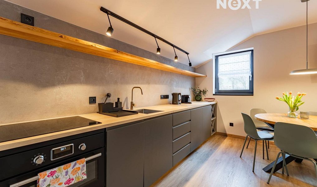 Prodej komerčního objektu (jiného typu) 57 m², Staré Město – náhled fotky 15