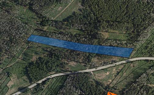Prodej lesa 9 117 m², Krasonice, okres Jihlava