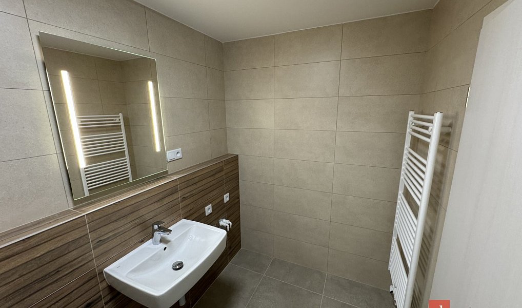 Prodej bytu 1+kk 46 m², Plzeň – náhled fotky 9