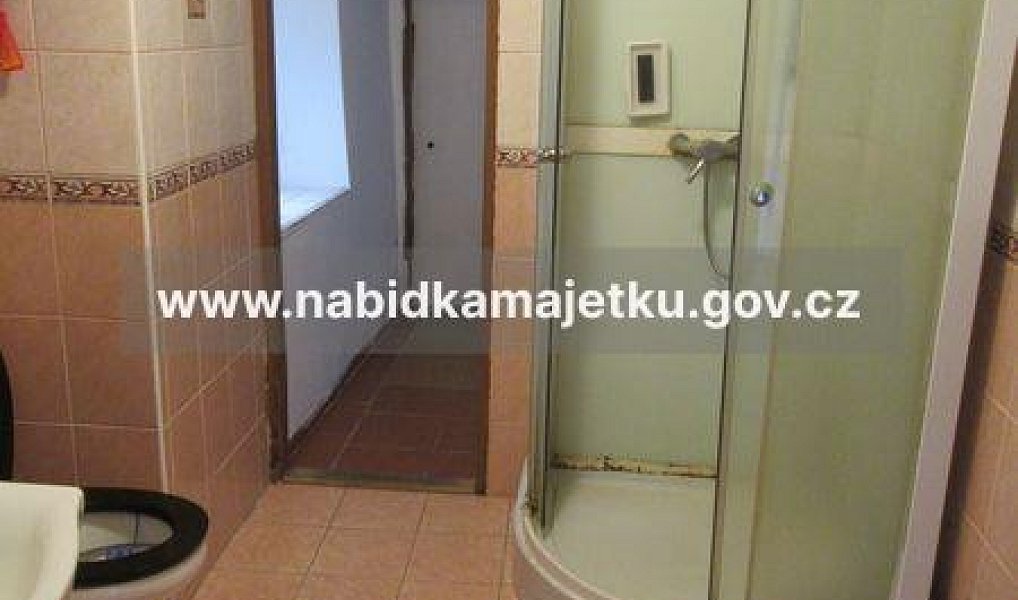 Prodej domu 113 m² s pozemkem 755 m², Černošín – náhled fotky 16