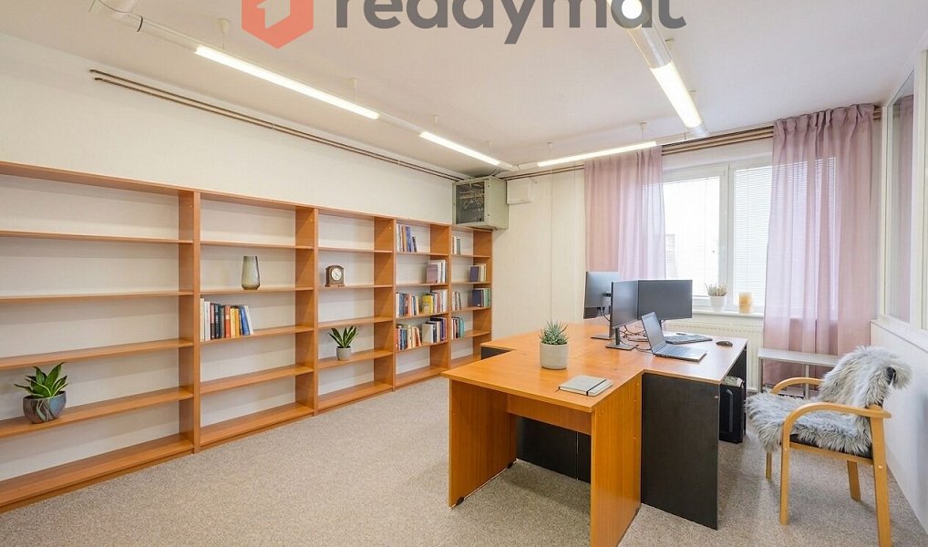 Pronájem obchodních prostor 1 500 m², Bzenec – náhled fotky 9