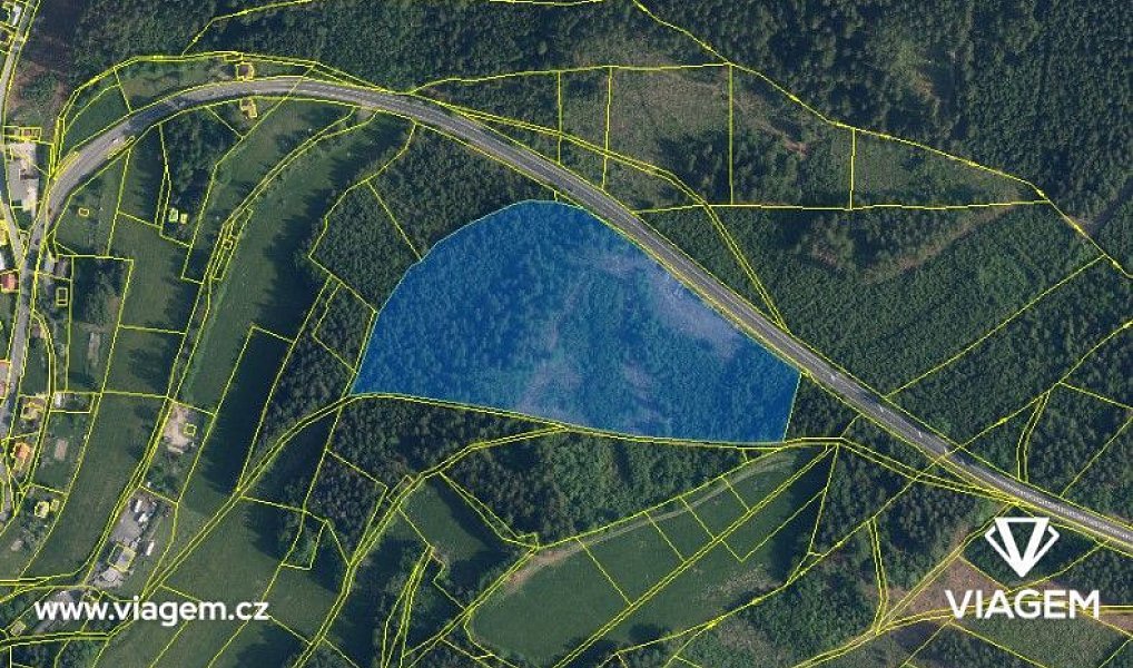 Prodej lesa 41 323 m², Loužnice – náhled fotky 3