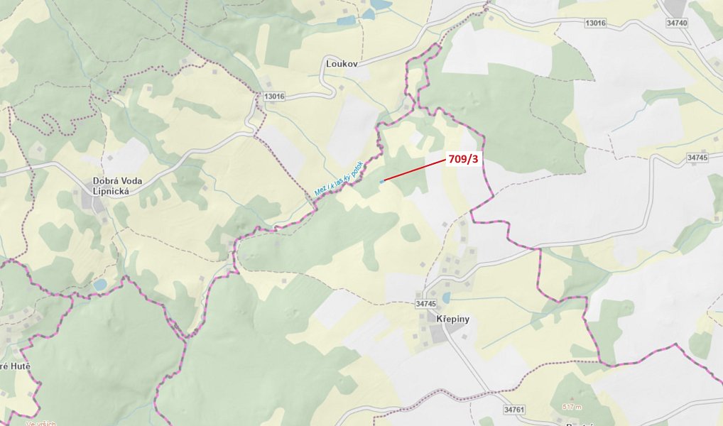 Dražba lesa, 350 m², Pelhřimov, Proseč