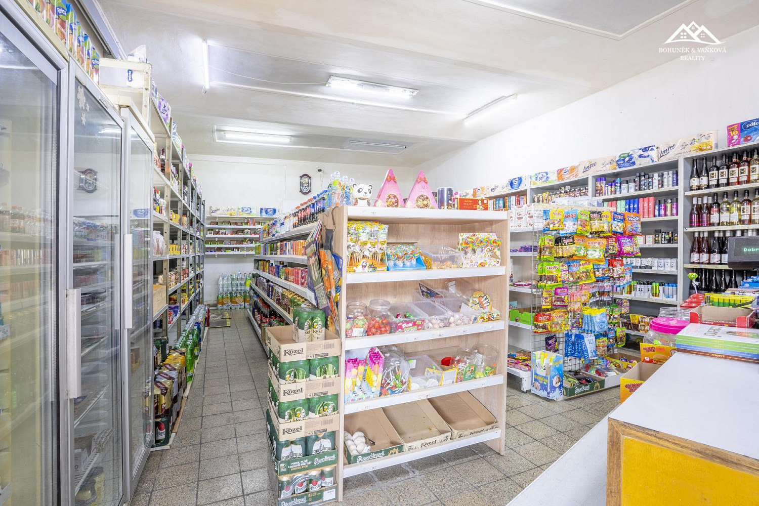 Prodej domu 580 m² s pozemkem 997 m² – fotografie 4