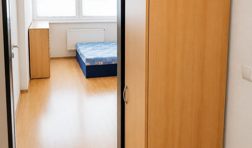 Prodej bytu 1+kk 23 m², Brno – náhled fotky 2