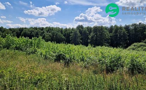 Prodej stavebního pozemku 8 743 m², Hamr na Jezeře, okres Česká Lípa