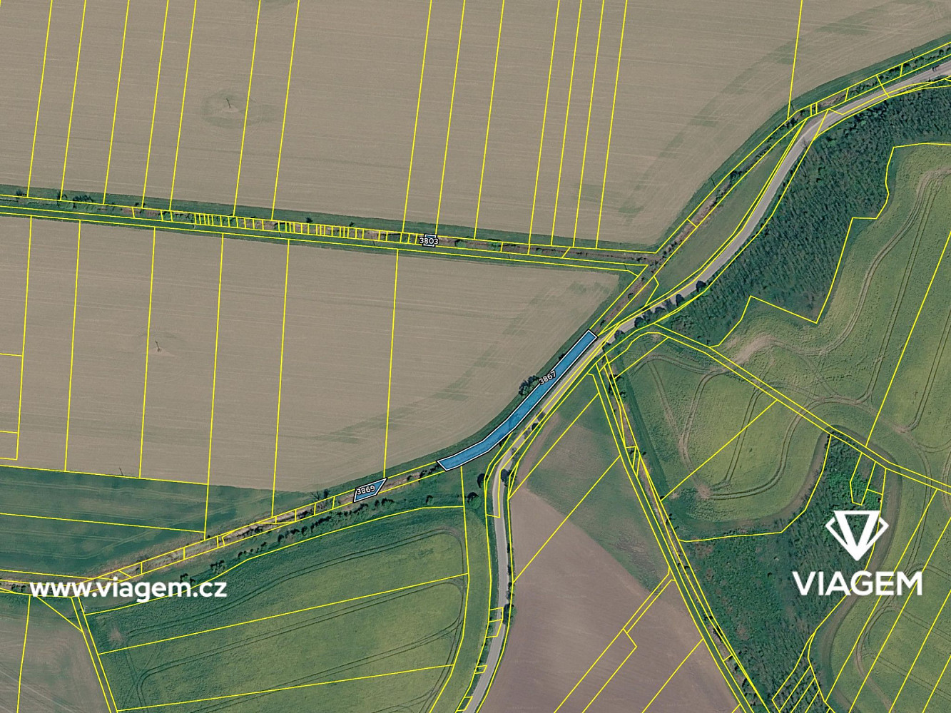 Prodej pole 1 130 m² — photo 4