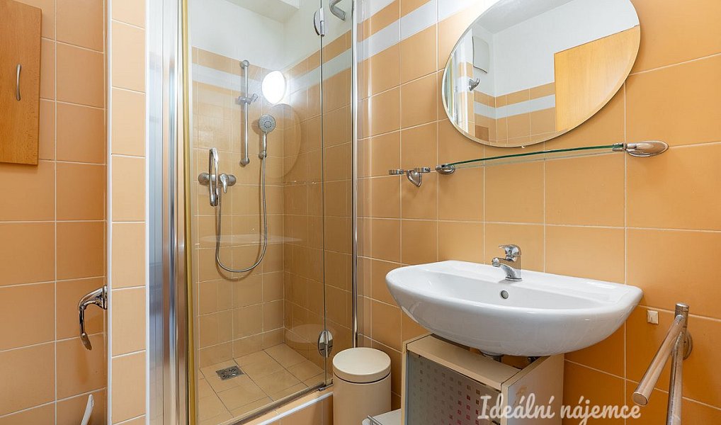 Pronájem bytu 1+kk 32 m², Praha – náhled fotky 6