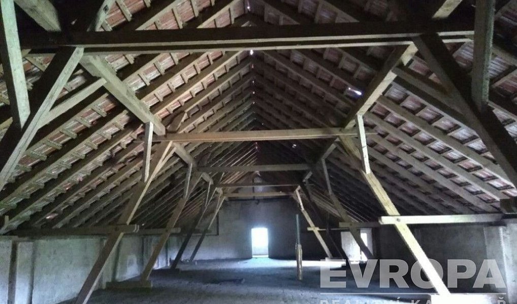 Prodej chaty/chalupy 1 060 m² s pozemkem 9 733 m², Kramolín – náhled fotky 7