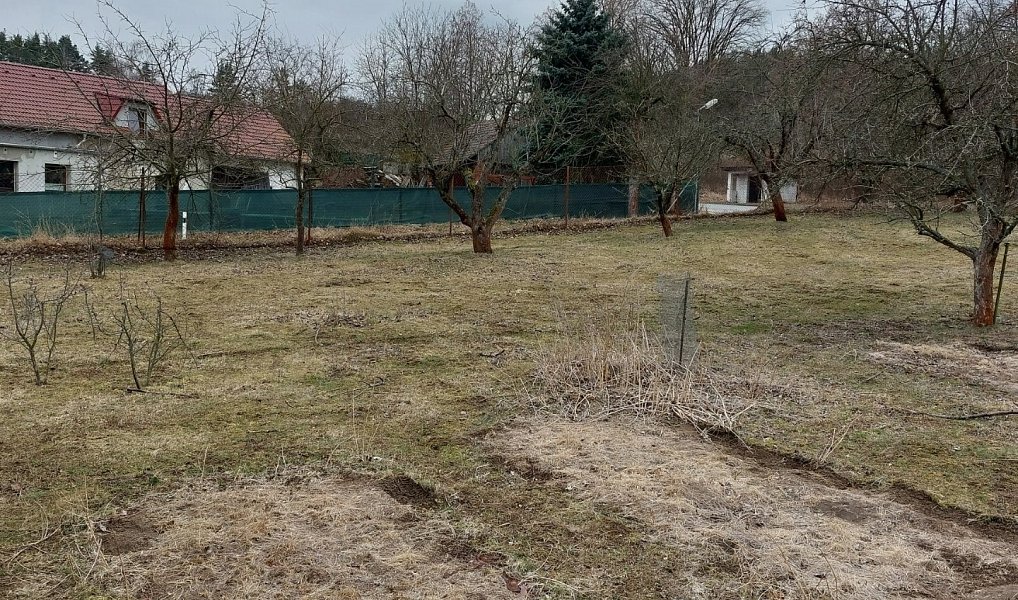 Prodej stavebního pozemku 5 184 m², Pečice – náhled fotky 12