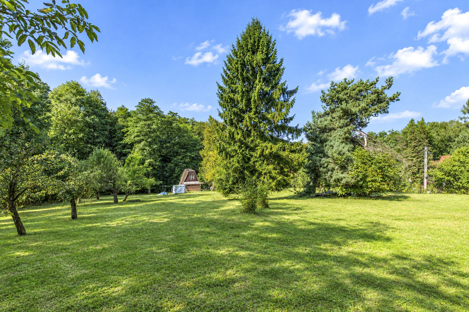 Prodej stavebního pozemku 3 278 m² – fotografie 3