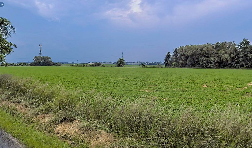Prodej stavebního pozemku 800 m², Dolany – náhled fotky 4
