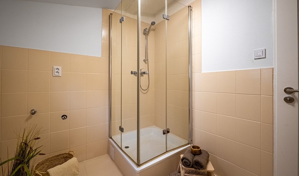 Prodej bytu 3+kk 73 m², Brno – náhled fotky 14