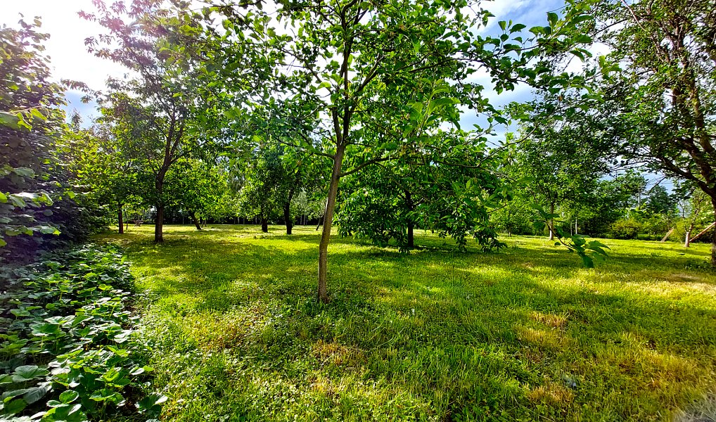 Prodej domu 400 m² s pozemkem 4 700 m², Golčův Jeníkov – náhled fotky 38
