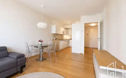 Pronájem bytu 2+kk 61 m², Hodonínská, Praha 4 - Michle