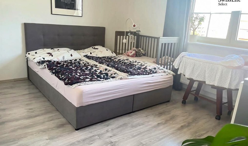 Prodej bytu 5+kk 163 m², Veselí nad Lužnicí – náhled fotky 6