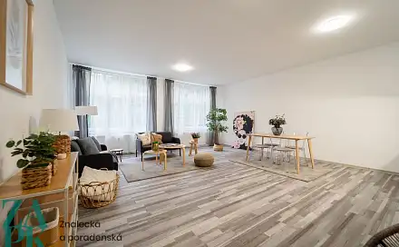 Pronájem bytu 1+kk 55 m², Purkyňova, Ústí nad Labem - Střekov