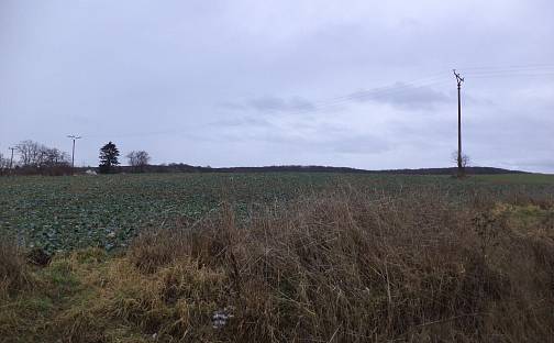 Prodej pozemku 6 867 m², Morkůvky, okres Břeclav