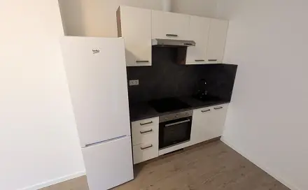 Pronájem bytu 2+kk 39 m², Františka Halase, Most