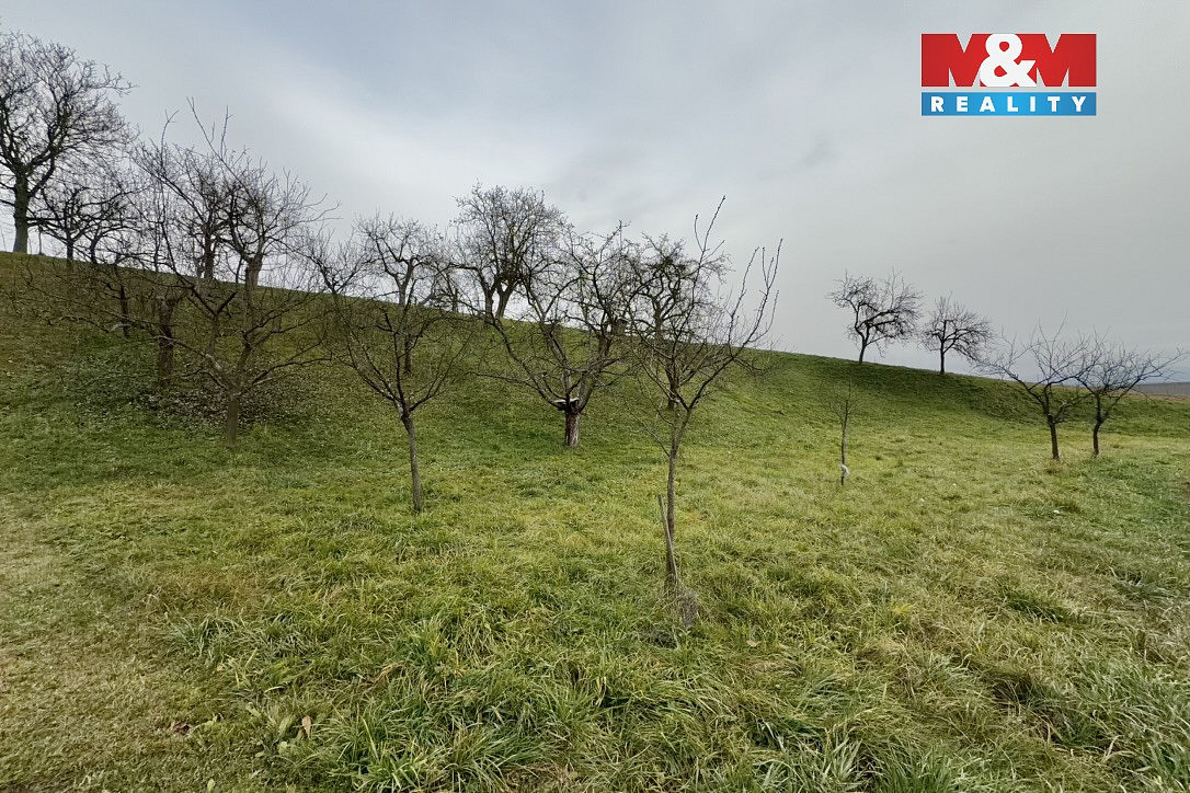 Prodej zahrady 901 m² — photo 5