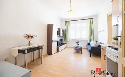 Prodej bytu 2+kk 47 m², Hartigova, Praha 3 - Žižkov