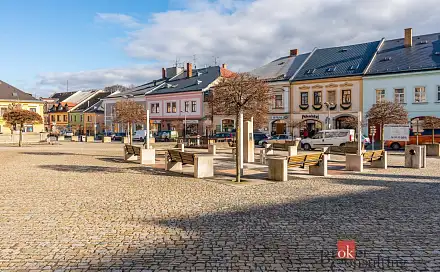 Prodej domu 700 m² s pozemkem 265 m², Pálená, Polička - Polička-Město, okres Svitavy
