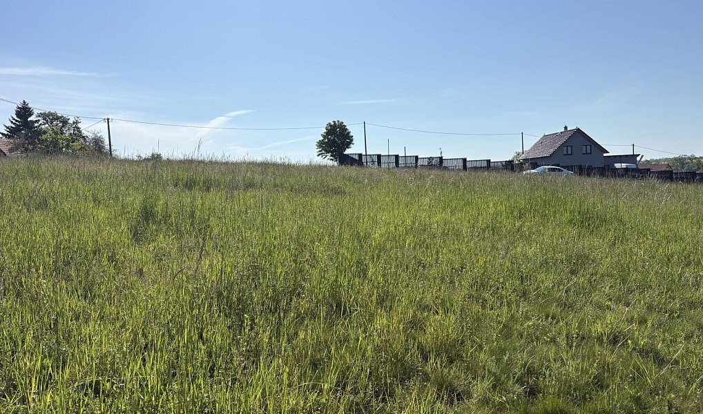 Prodej stavebního pozemku 3 521 m², Vračovice-Orlov – náhled fotky 9
