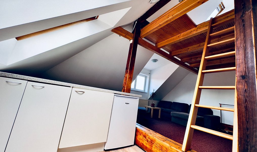 Pronájem bytu 1+kk 45 m², Cheb – náhled fotky 10