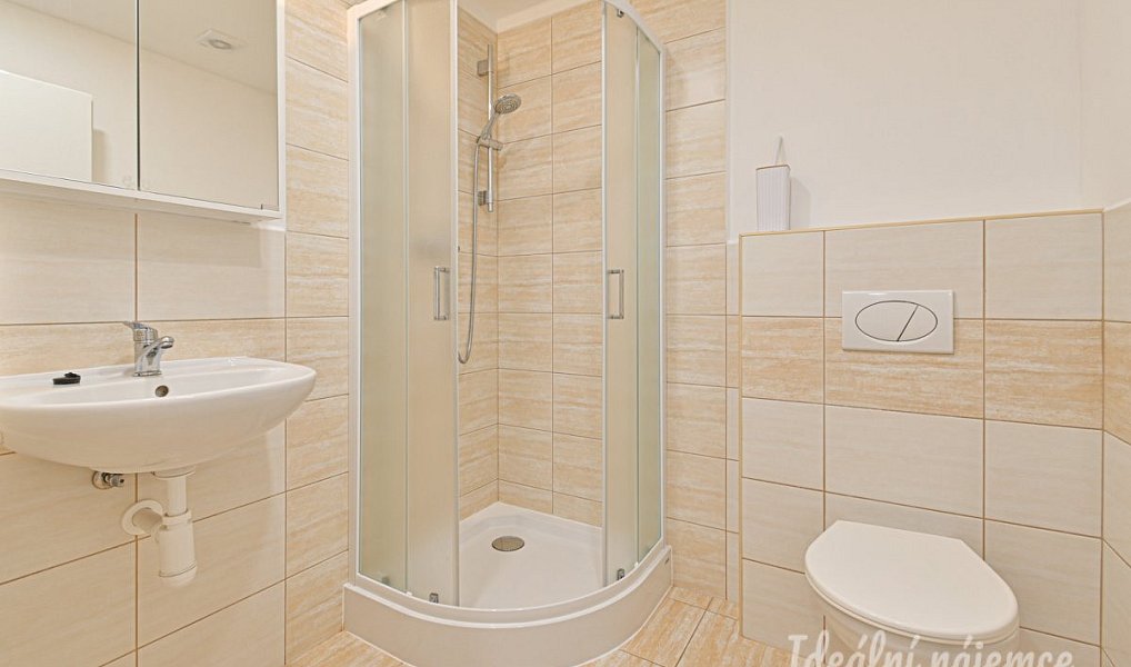 Pronájem bytu 1+kk 26 m², Brno – náhled fotky 2