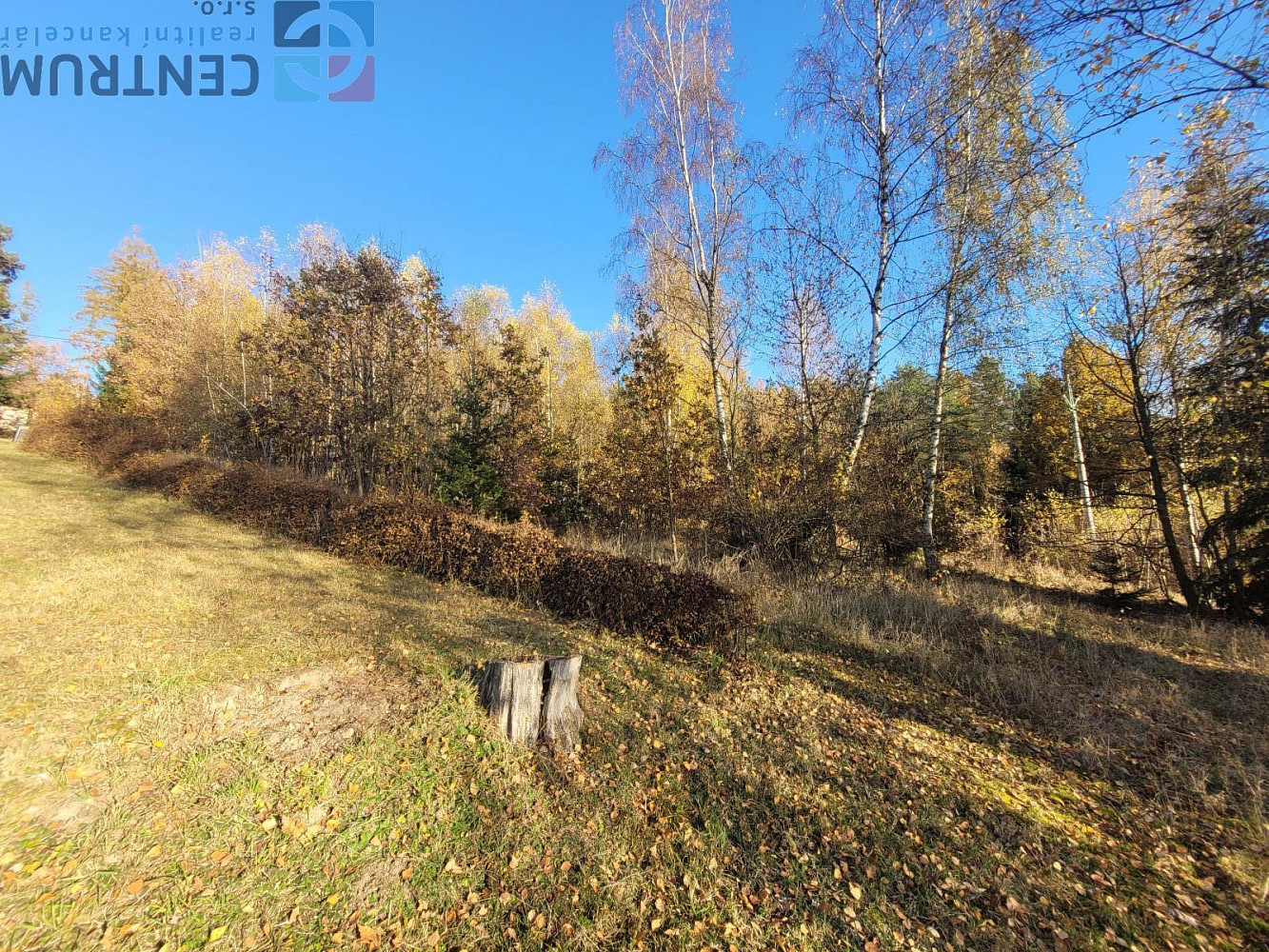 Prodej louky 6 834 m² – fotografie 3