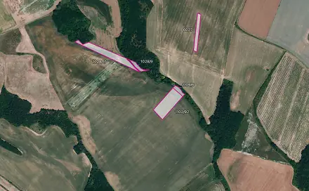 Prodej pole 6 896 m², Džbánice, okres Znojmo