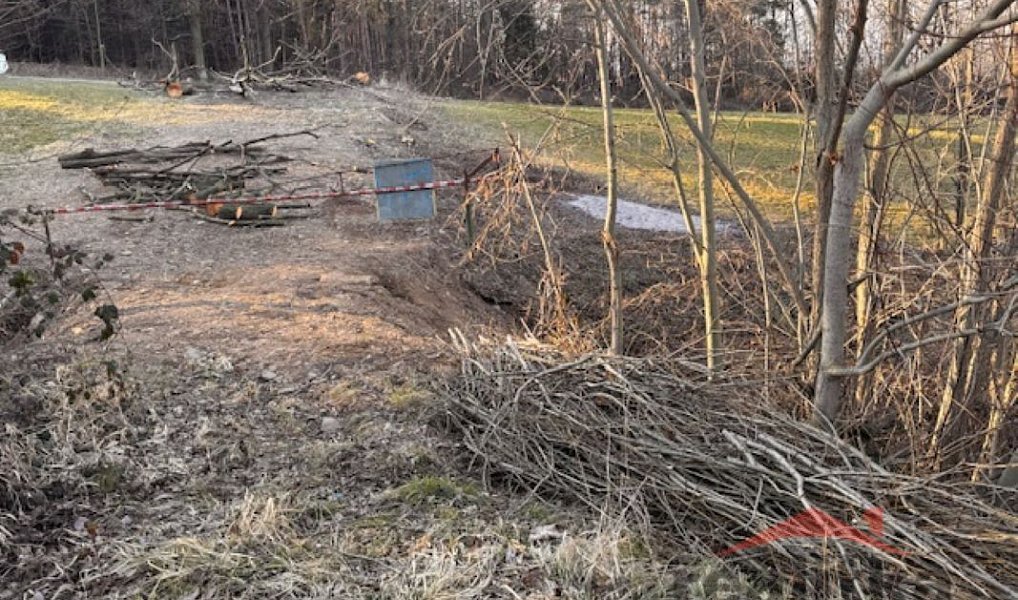 Prodej louky 7 788 m², Vršovice – náhled fotky 4