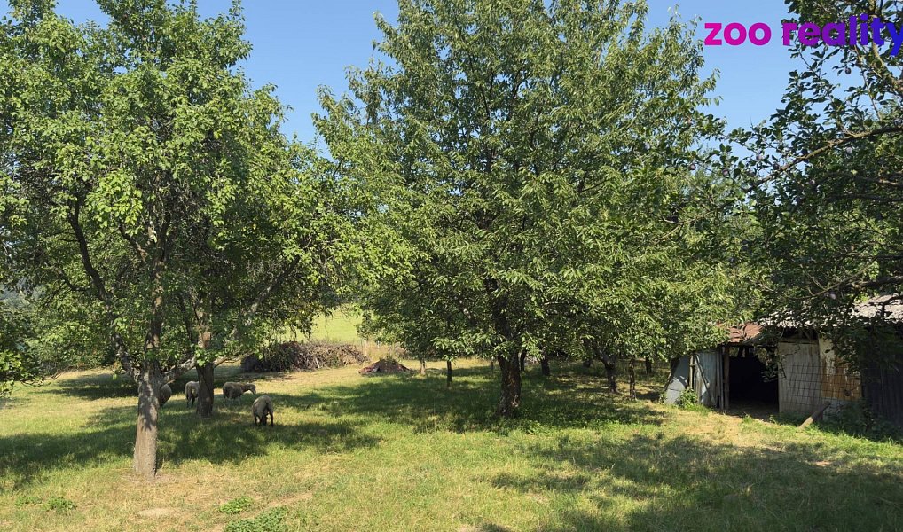 Prodej domu 65 m² s pozemkem 3 453 m², Oskava – náhled fotky 12