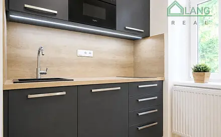 Pronájem bytu 1+1 30 m², Koliště, Brno - Zábrdovice
