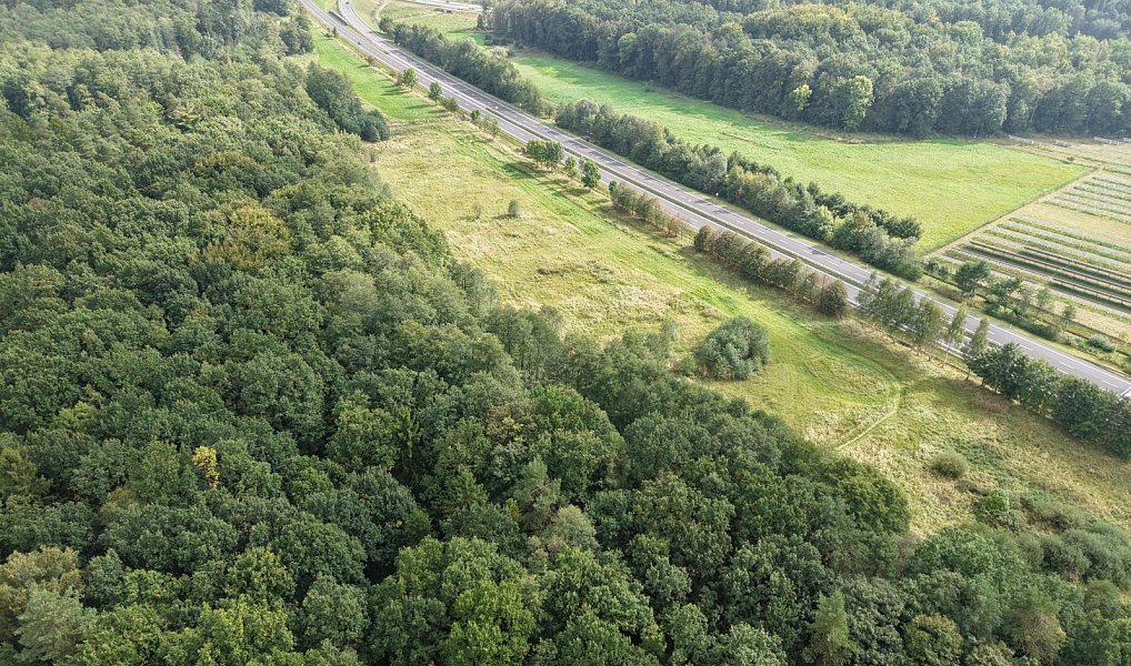 Prodej pole 27 464 m², Frýdek-Místek – náhled fotky 8