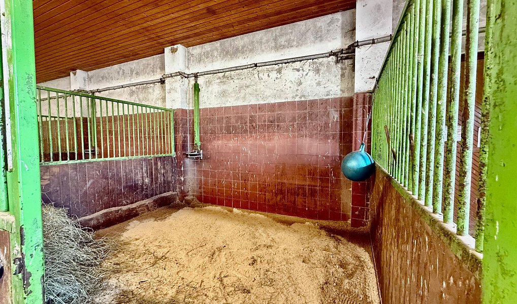 Prodej zemědělského objektu 1 300 m², Spálené Poříčí – náhled fotky 7