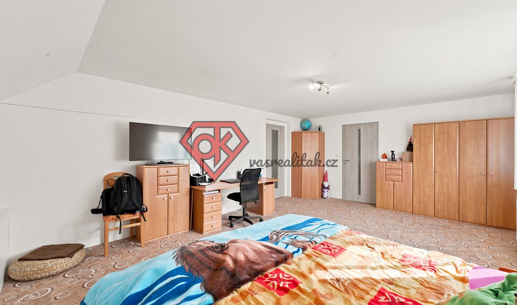 Prodej domu 201 m² s pozemkem 602 m², Orlické Podhůří – náhled fotky 14