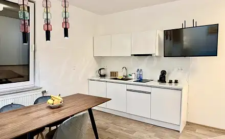 Pronájem bytu 1+kk 50 m²