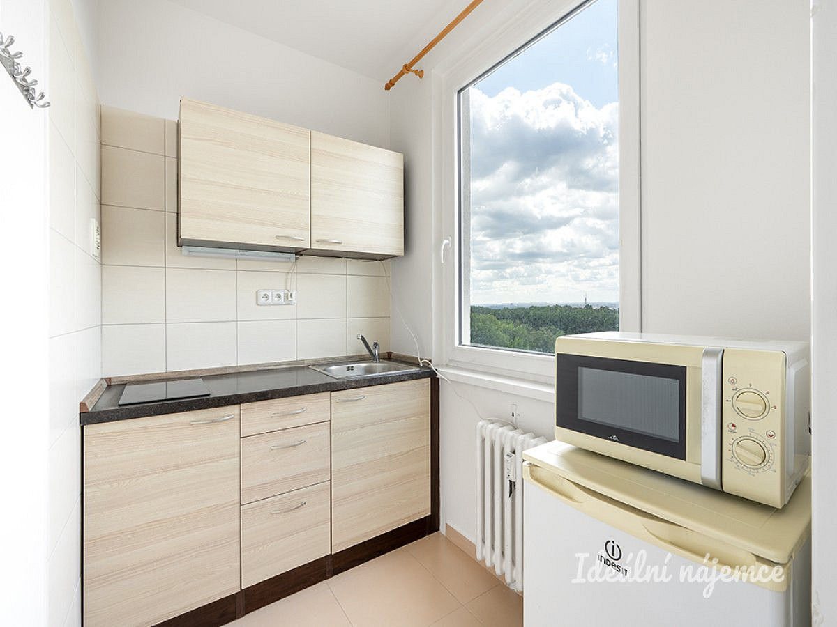 Pronájem bytu 1+kk 30 m² — photo 3